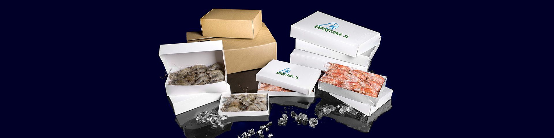 export-pack-slide (1)
